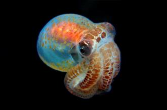 296057_10150539996934569_368409800_n