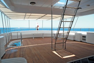 Blue Fin Top Deck