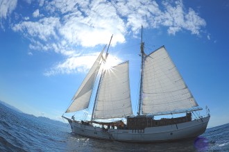 Perfect for friends and family or for a celebrity.