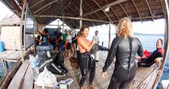 Getting ready to dive.