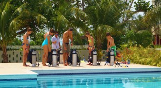 Try Dive at the pool.