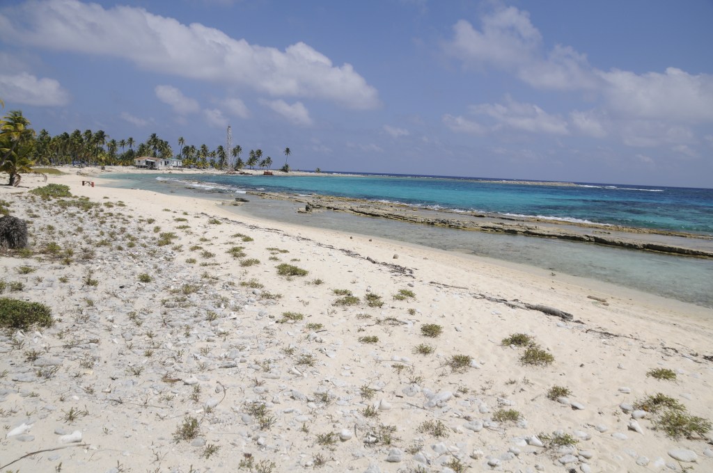 Blackbird Caye Resort