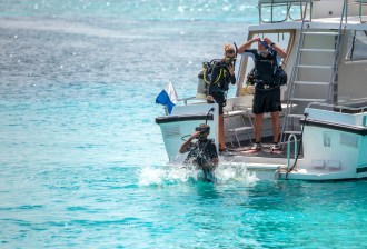 Small groups guaranteed.