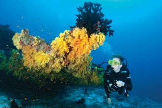 Dive in style with a choice of itineraries. 