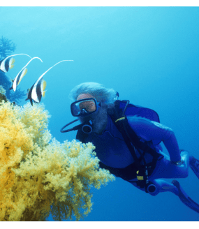 Jean-Michel Cousteau