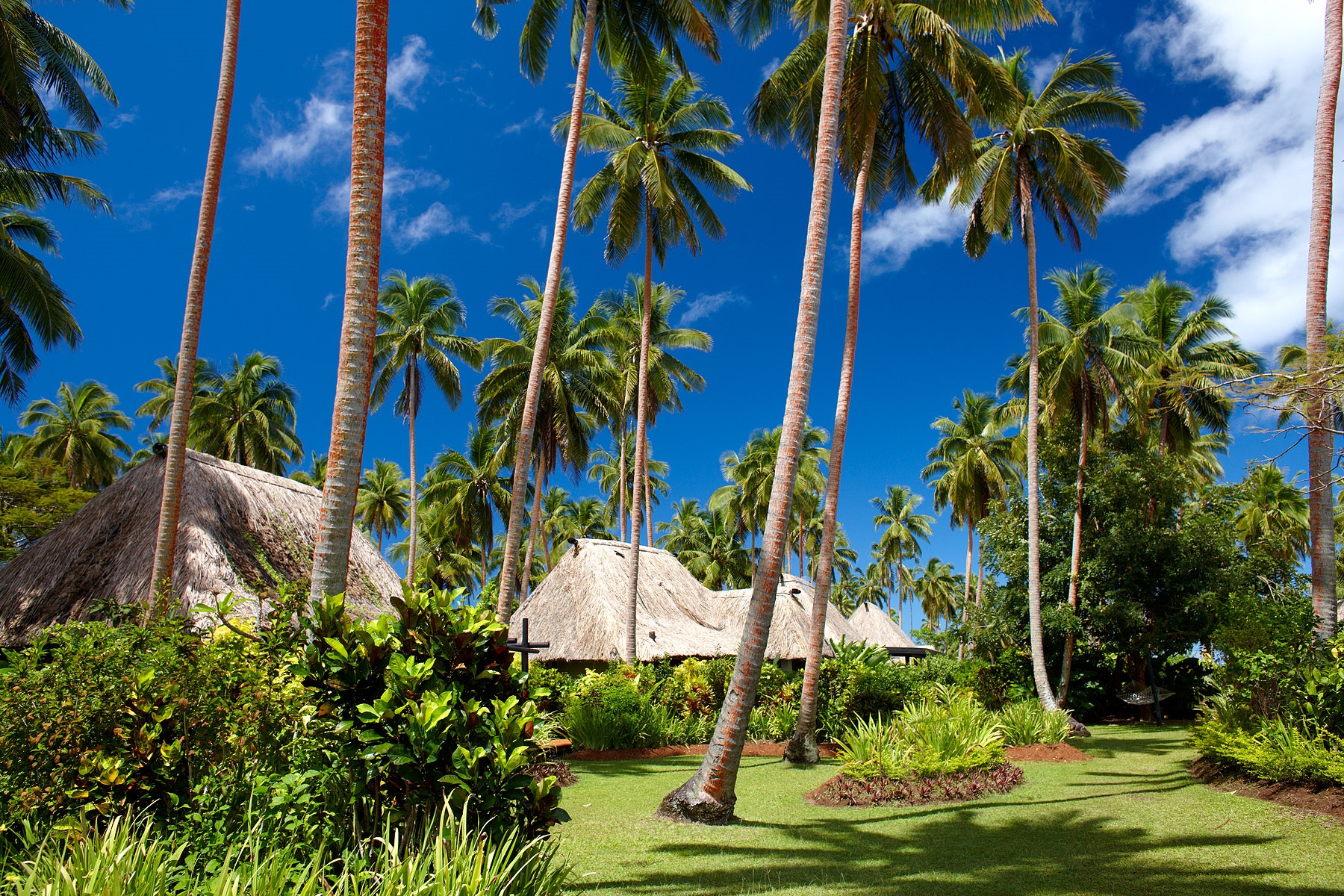 McLennan_Cousteau_010