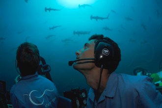 Get a different viewing perspective.