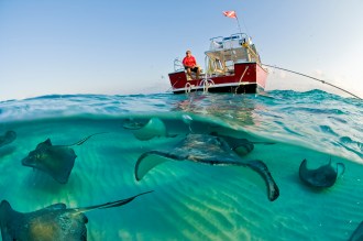 Sting Ray City from the Sunset House Dive Boat.