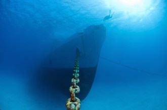Great Ship Wreck dives.