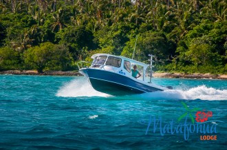Dive and whale watch boat.