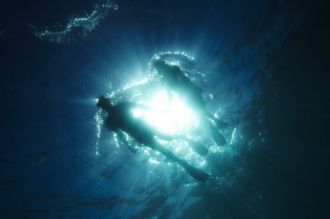 Snorkeling and Diving Is Excellent.