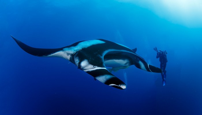 Bernard-Radvaner-18-700x400