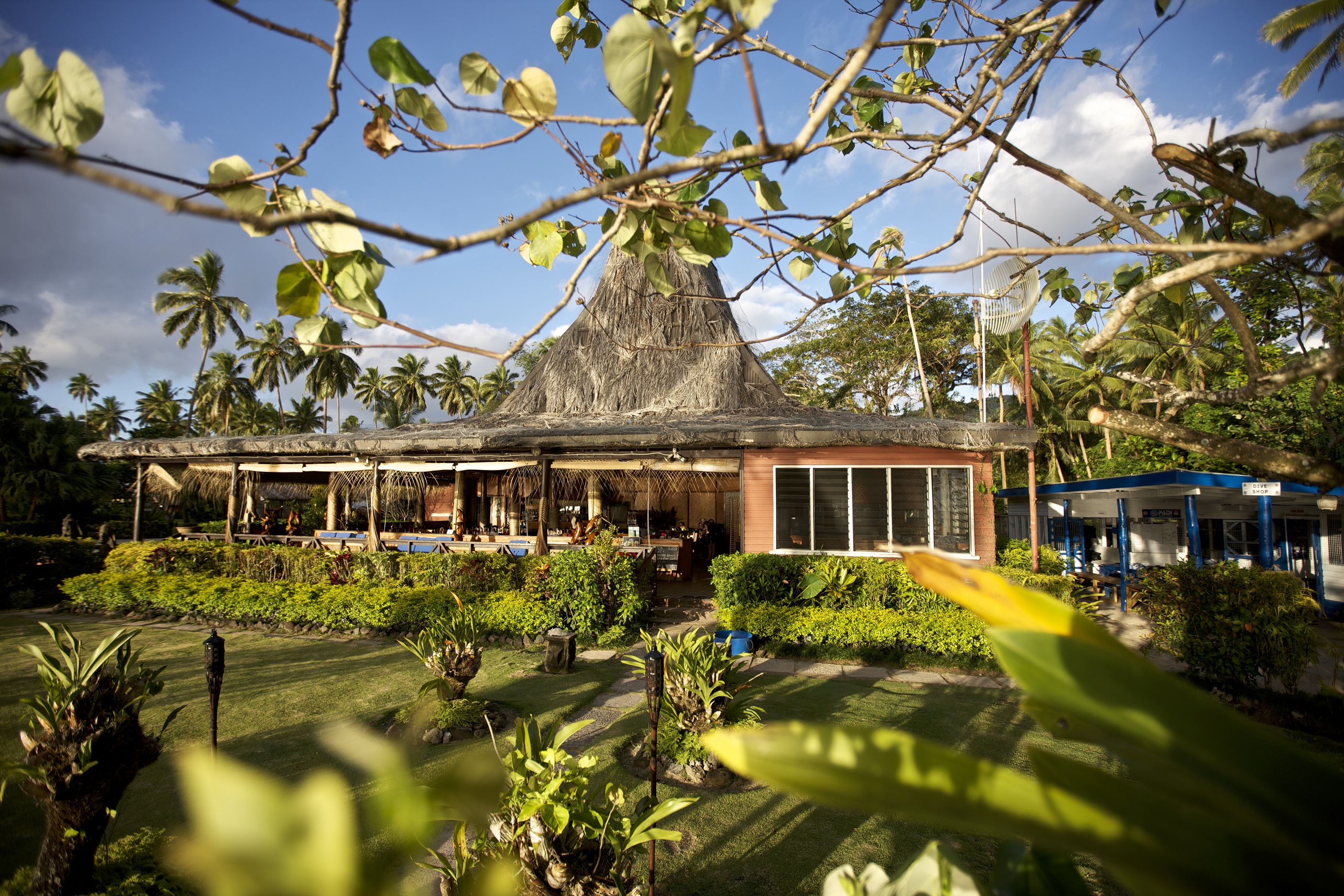 894a4dcde8b82d66e10922ff44956912